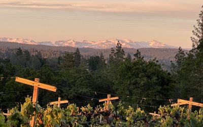 Sierra Vista Winery News