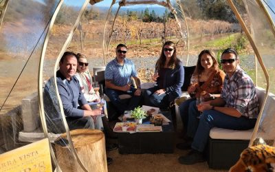 Vinos and Views – Two Hidden Gems Among the Sierra Foothill Wineries