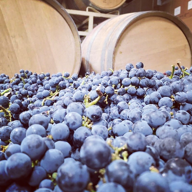 GRAPES