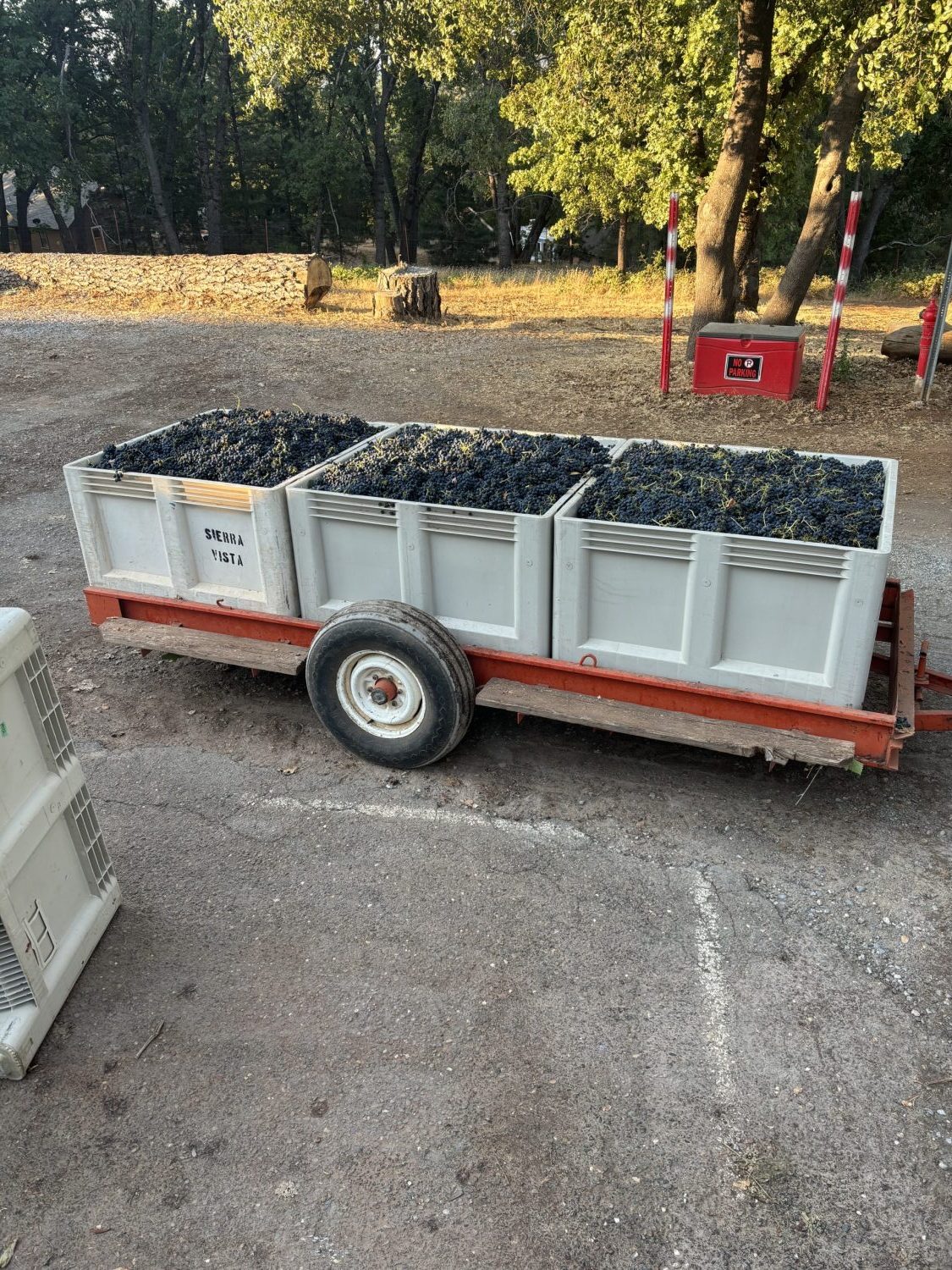 harvest 2