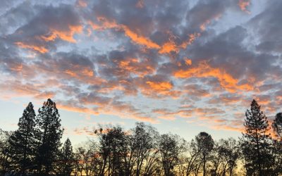 A Warm Start to the New Year