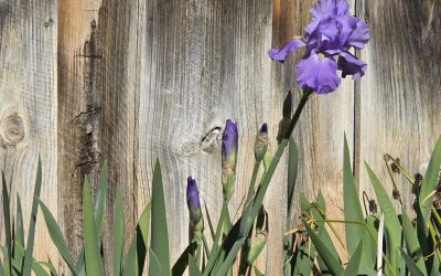 April in the Tasting Room