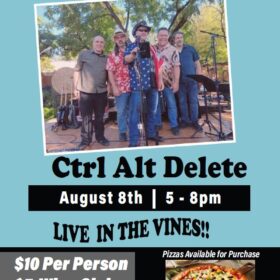 Concert:  Ctrl Alt Delete