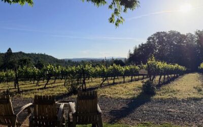 Around the Tasting Room in August