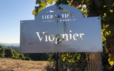Fall in the Tasting Room