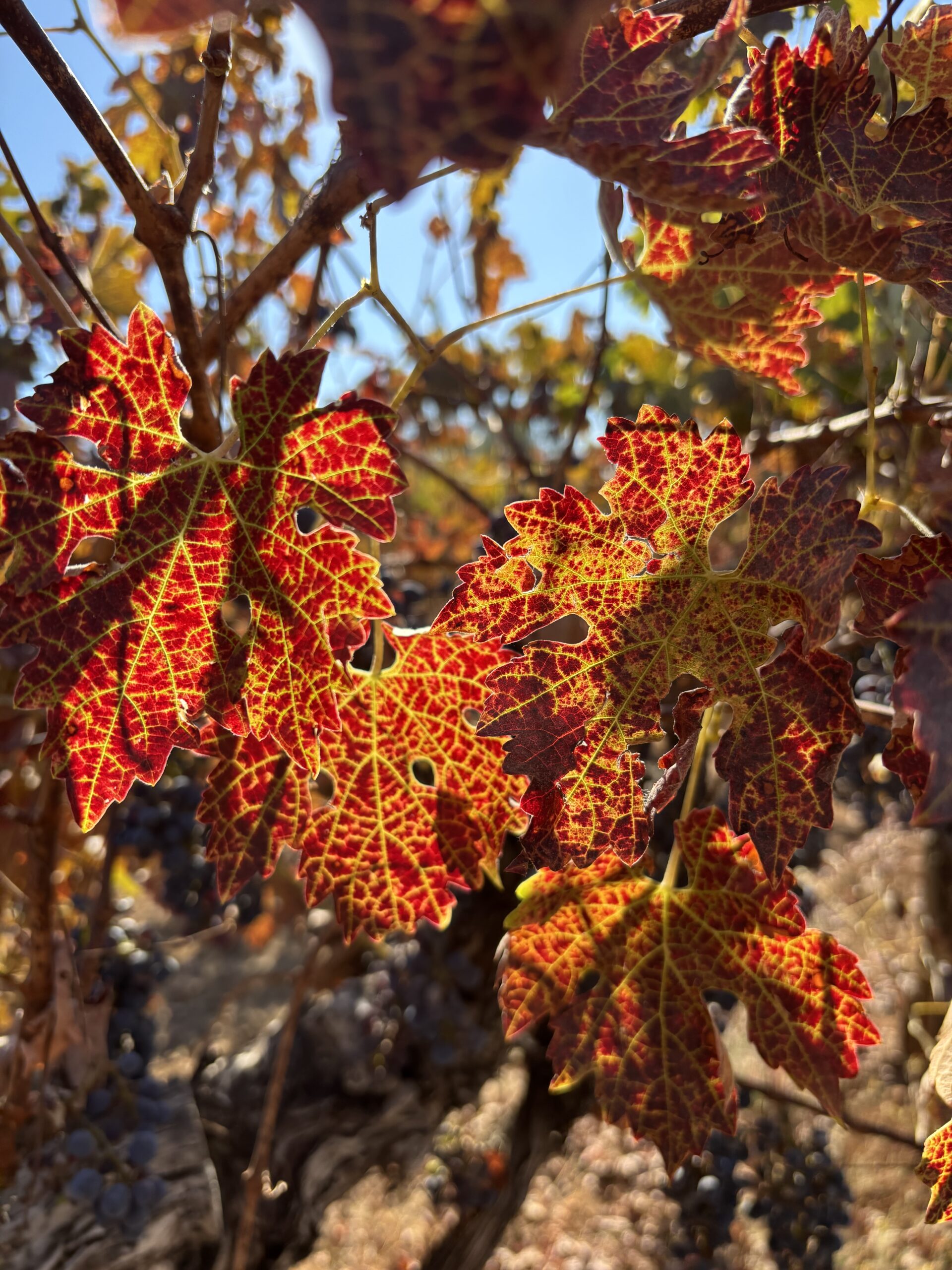 oct blog 2