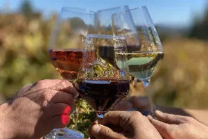 Wine glasses overlooking the vineyards at Sierra Vista Winery in Placerville
